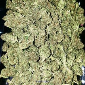 Plants for pain, fresh, shipping available