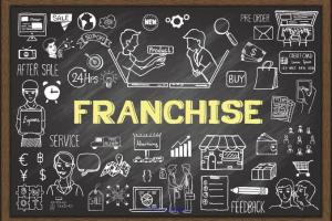 most profitable swimming school franchises