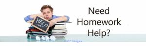 Get Online Assignment Help- 24/7 Support