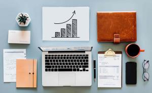 Rank Your Business In Milton