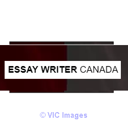 Essay Writer Canada Get 20% Off