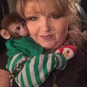 Baby Monkey Home Trained For Adoption/Rehoming