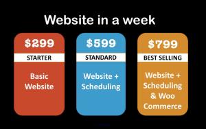 Website in a week.
