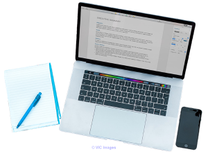 Professional Essay Writers