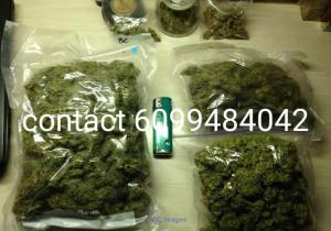SHELF GRADE AA INDOOR GREENHOUSE STRAINS AT AFFORDABLE PRICES