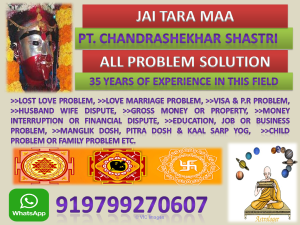 Famous Astrologer Pt. Chandrashekhar Shastri
