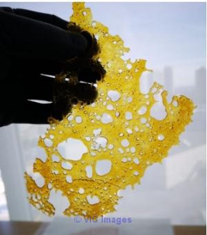 PACIFIC PURE SHATTER (5 STRAINS)