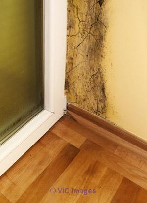 Contact Air Doctors for Residential Mold Remediation in Toronto!