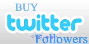 Buy Real and Cheap Twitter Followers