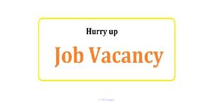 work from home for freshers... hurry up....
