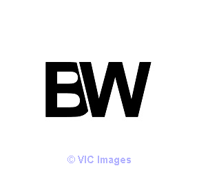 BridgeWeb