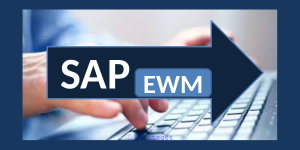 SAP EWM ONLINE TRAINING BY REAL TIME EXPERT @Proexcellency