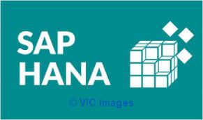 Sab Hana S/4 Training