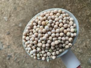 Looking to purchase flax and peas