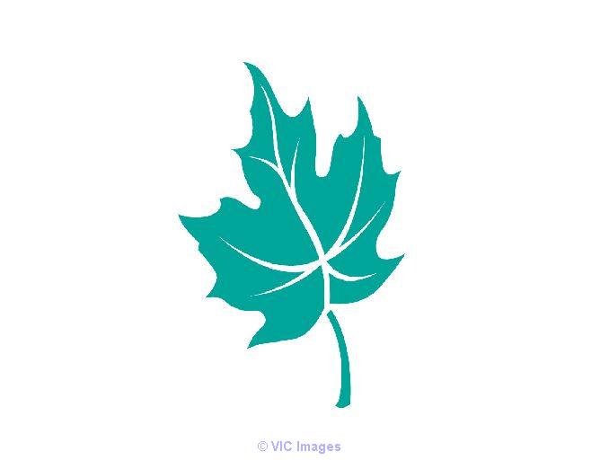 Senior Care At Home Calgary