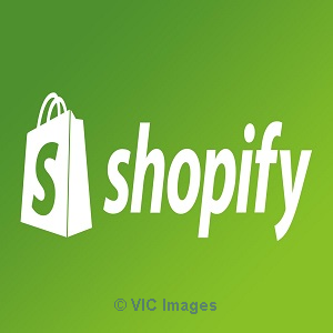 Complete Shopify Training Online  Edusity