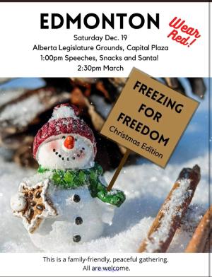 Freezing For Freedom Constitutional Christmas Rally