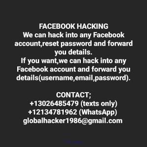 Professional Hackers Helping People
