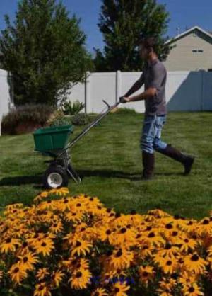 Eco Lawn of Heber-Midway