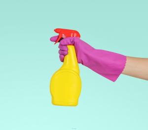House Cleaning Services