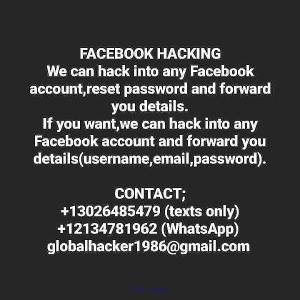 Professional Hackers Helping People