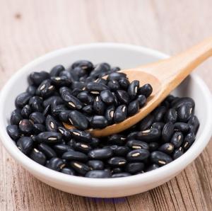 Beans - The Health Benefits of Superfoods