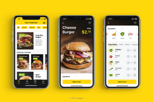 ByteRMS - Restaurant Online Ordering Apps Toronto