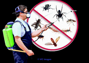 Pest Control Sipson