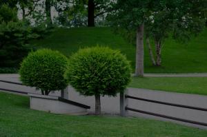 VRL Tree Services
