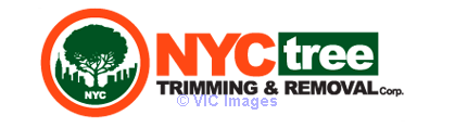 NYC Tree Trimming & Removal Corp
