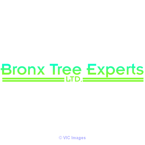 Bronx Tree Pro - Tree Removal, Cutting & Trimming Service