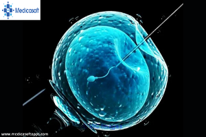 Buy PACS Imaging Software at the Affordable Price!
