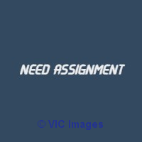 Assignment Help from Need Assignment
