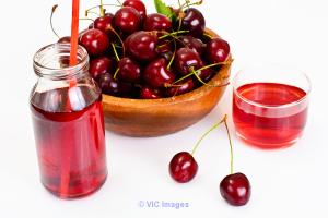 Herbal ingredient suppliers | Natural health ingredients