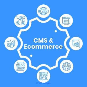 Best CMS and eCommerce development Services in Canada | Bevolve