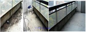Get Your Whole Balcony Cleaned with Balcony Cleaning Services