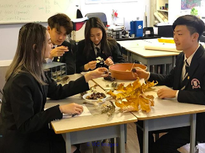 Why Study At The Best Secondary School Richmond?