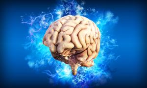 Bright Minds and Its Unique Approach for Better Mental Health