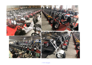 3000 Watts Harley Citycoco Electric scooter fat tyres