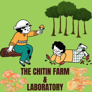 Fresh organic mushrooms, fruiting blocks, or mycology lessons.
