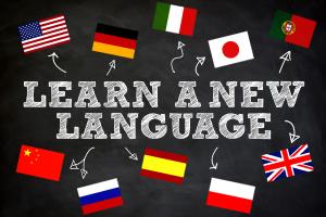German for beginners!