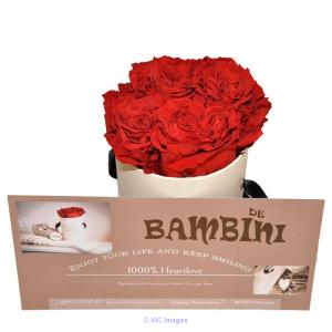 Besondere Geschenke Geburt