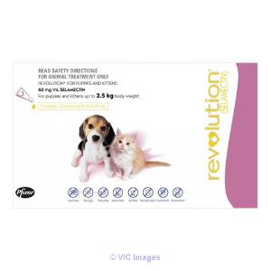 Revolution: Heartworm Prevention & Flea Treatment for Dogs