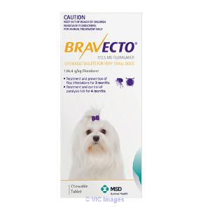 Bravecto for Dog at 10 OFF: Best Prices at South Africa