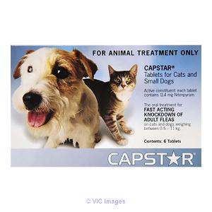Capstar for Dogs South Africa | Capstar Flea Treatment | Capstar Flea