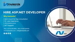 Hire .net developer