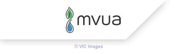 Best Magnesium Glycinate Supplement  MVUA Health