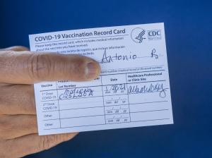 Get electronic covid certificate, passport, drivers license patente24