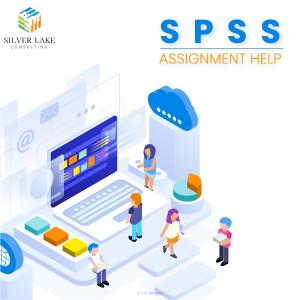 Dissertation Consultation Services  - Silver Lake Consulting