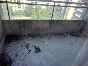 Fall Balcony Cleaning Discount. Save on HST